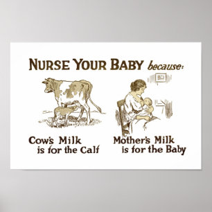 Poster O leite de mãe é para bebês