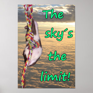 Póster O limite do céu! (Poster inspirado do rato)