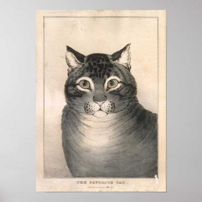 Poster O Lithógrafo De Gato Favorito - Nathaniel Currier (Frente)