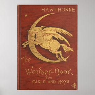 Póster O Livro Maravilhoso de 1884