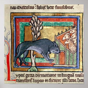 Póster O lobo do MS Roy A fora de um carneiro dobra-se