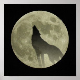 Poster O lobo uivante