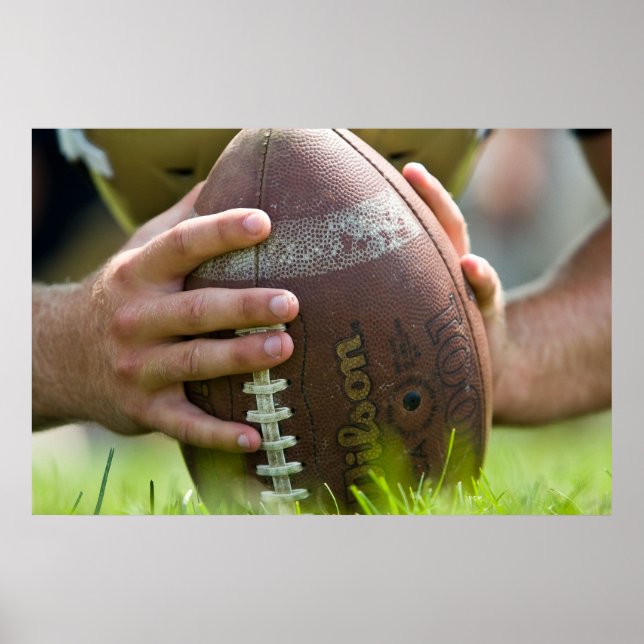 Poster O Longsnapper (Frente)