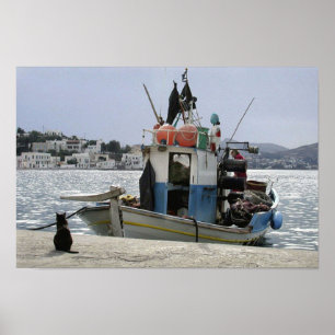 Poster O Lunchboat do gato