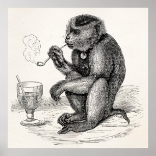 Póster O macaco do vintage que fuma uma tubulação Monke