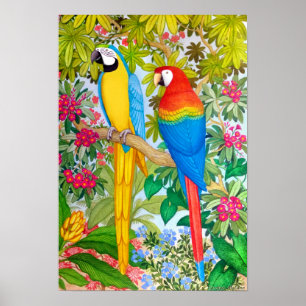 Poster O Macaw tropical da aguarela repete mecanicamente
