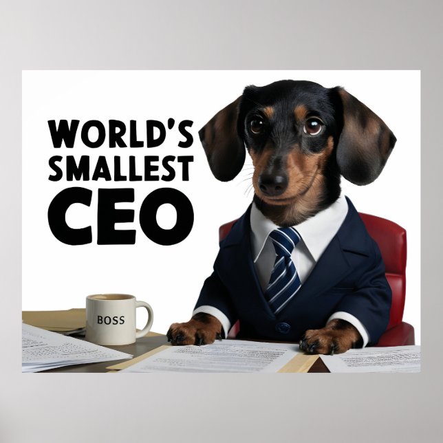 Poster O mais pequeno CEO do mundo, um belo e engraçado g (Frente)