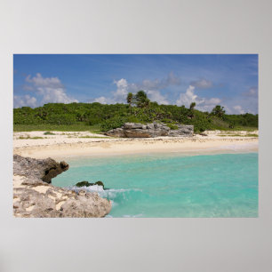 Poster O mar e a selva