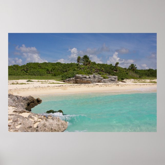 Poster O Mar E A Selva (Frente)