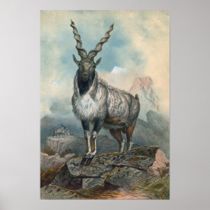 Poster O Markhore de Joseph Wolf