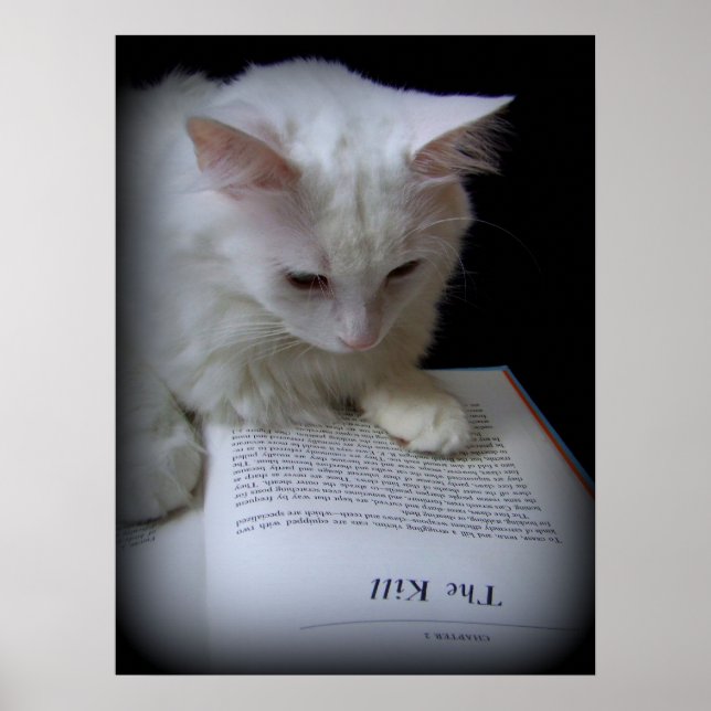 PÓSTER O MATAR (Frente)