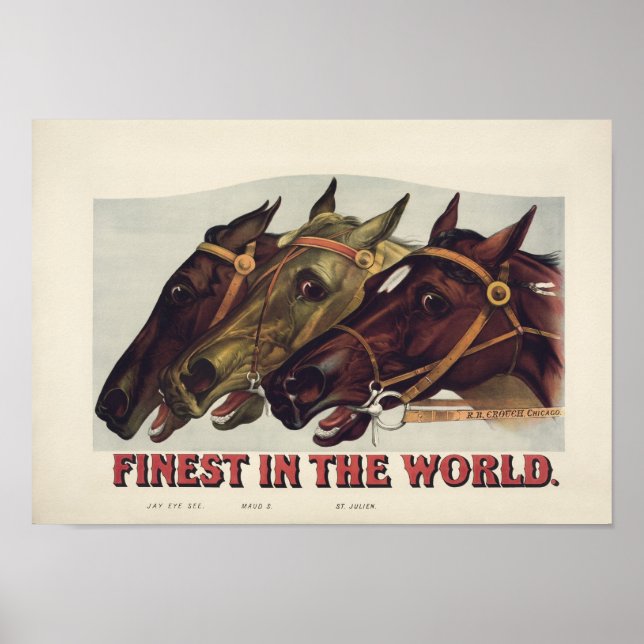 Poster O melhor do mundo - Corrida de cavalos venenosos (Frente)