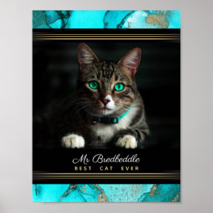 Poster O Melhor Gato De Abstrato De Teal De Modelo De Fot