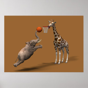 Póster O melhor marcador do basquetebol