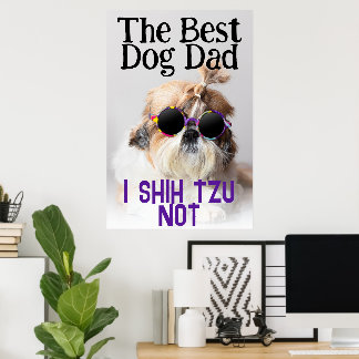 Poster O melhor pai de cachorro Shih Tzu Não é uma foto e