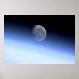 Poster O membro da terra