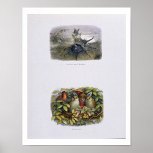 Poster O mensageiro da rainha feericamente, e duende e