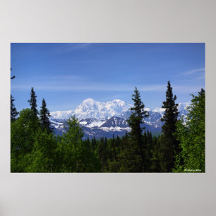Póster O Monte McKinley