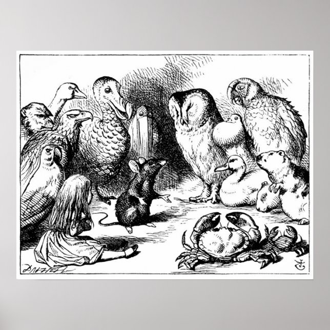 Poster O mouse e a história seca (Frente)