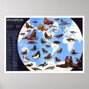 Poster " O Mundo: 1987 Pinniped em volta do Mundo ...