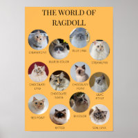 O mundo de Ragdoll, imprimível A3 ou menor