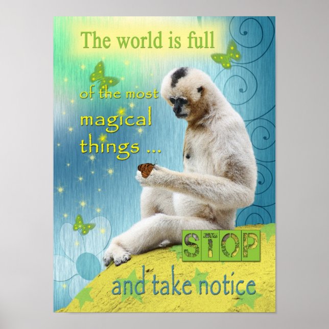 Poster O mundo é Cheio de magia (Frente)