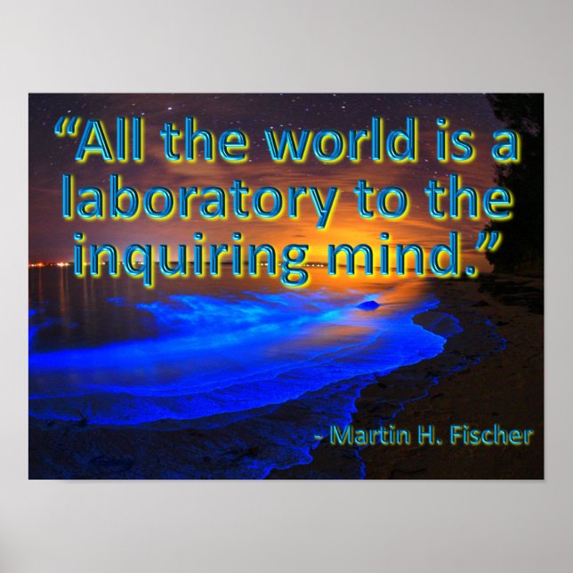 Poster O mundo todo é um laboratório (Frente)