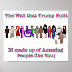 Poster O Muro que Trump Construiu