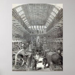 Póster O museu de Hunterian