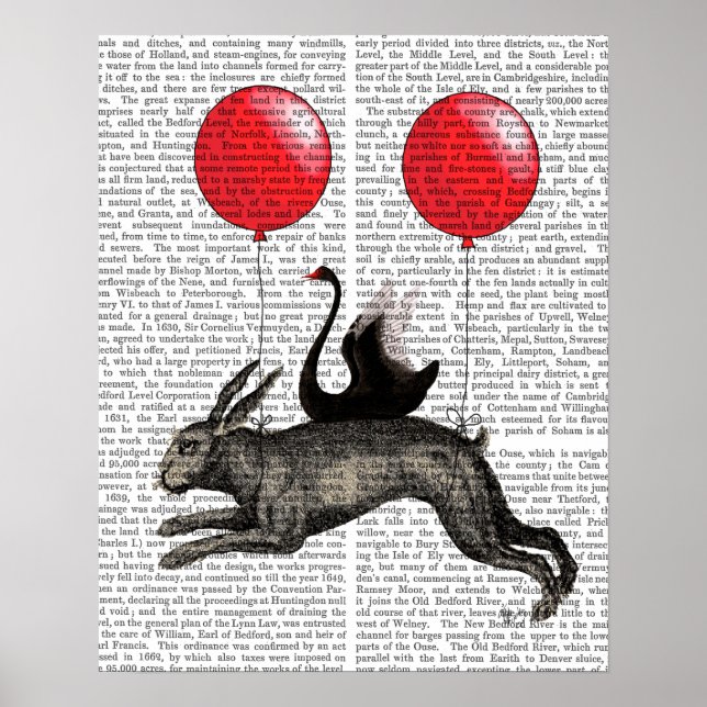 Póster O navio de lebre (Frente)