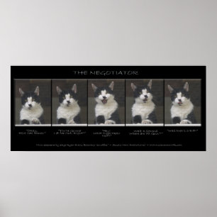 Poster "O NEGOCIADOR" Engraçado Sequência de Foto de Gato