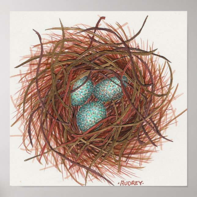 Poster O Ninho de Robin (Frente)