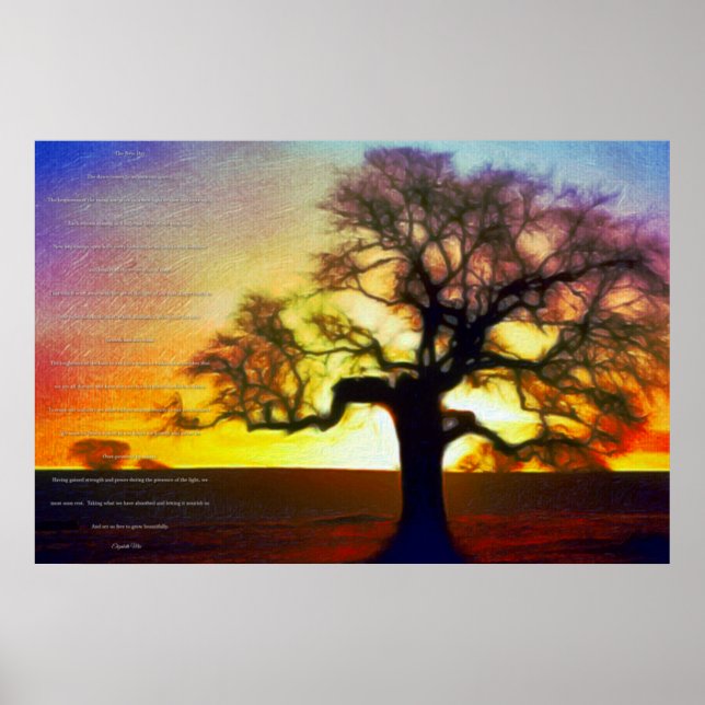 Poster O Novo Dia (Frente)