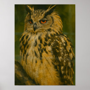 Poster O Observador - Eurasian Eagle-Owl na Luz do Woodla
