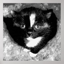 O Observador Silencioso