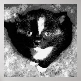 Poster O Observador Silencioso