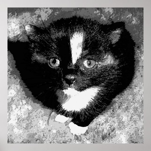 Poster O Observador Silencioso (Frente)