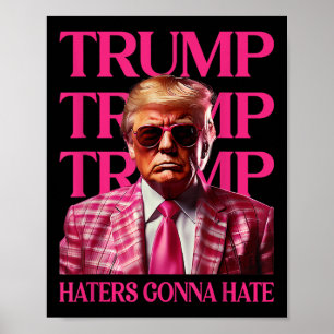 Poster O Ódio dos Idiotas Vai Odiar, Engraçado Pink 2024
