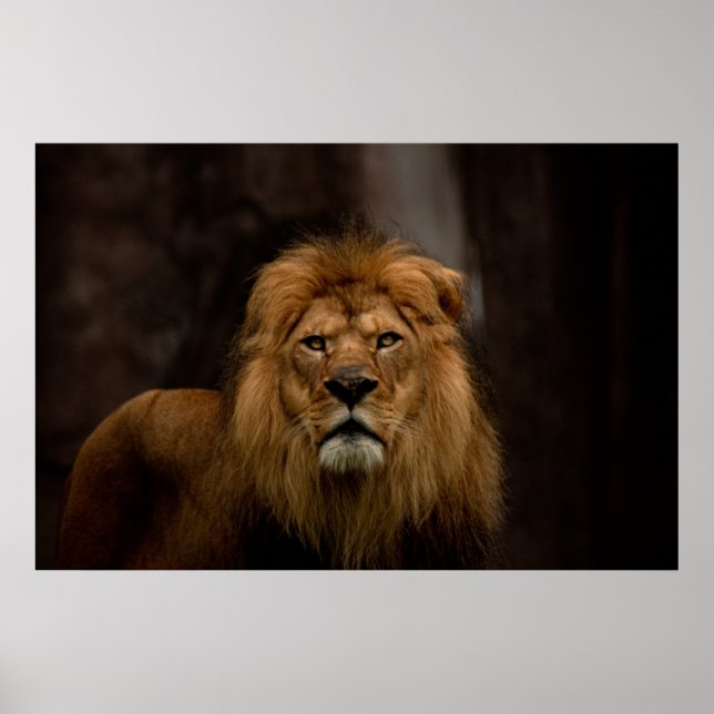 Poster O olhar (Frente)