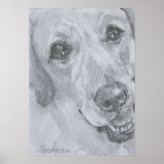 Póster O Olhar Do Amor