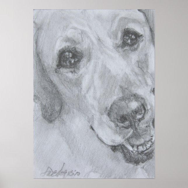 Póster O Olhar Do Amor (Frente)