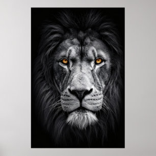 Poster O Olhar do Rei