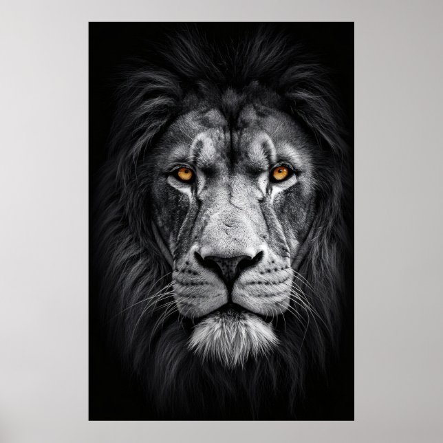 Poster O Olhar do Rei (Frente)