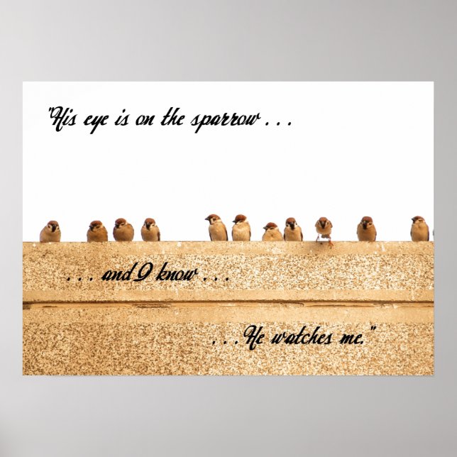 Póster O Olho dele está no Sparrow. . . (Frente)
