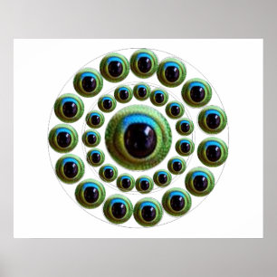 Poster O olho do dragão - coleção do chinês de Goodlu