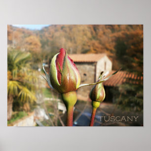 Poster O outono de Tuscan aumentou. Toscânia
