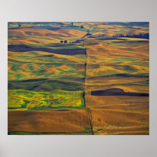 Póster O Palouse a partir de Steptoe Butte, Colfax,
