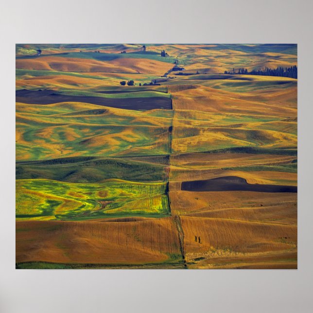 Póster O Palouse a partir de Steptoe Butte, Colfax, (Frente)
