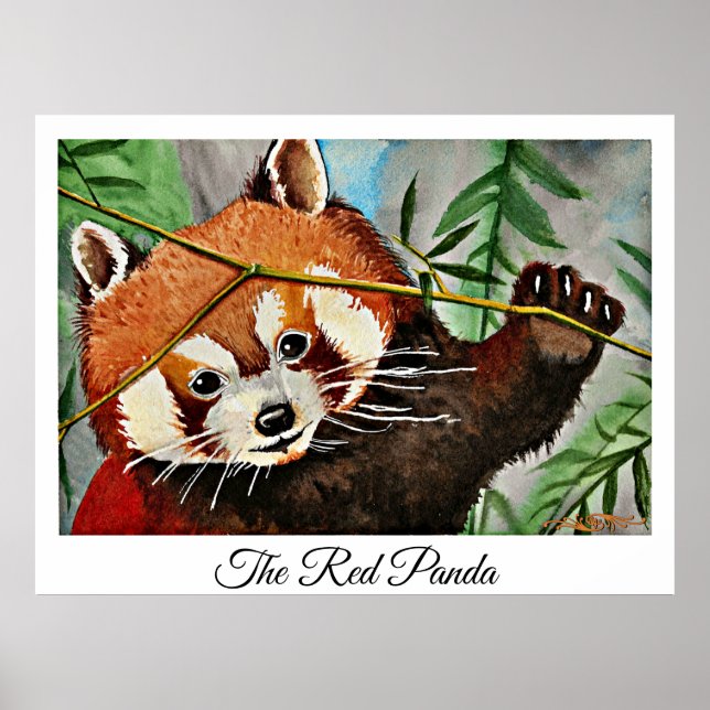 Poster O Panda Vermelho (Frente)