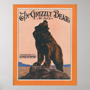 Póster O pano do urso Grizzly